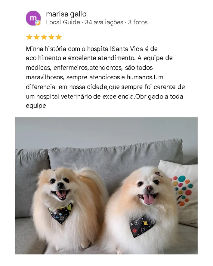 Avaliação de cliente no Google sobre o Santa Vida