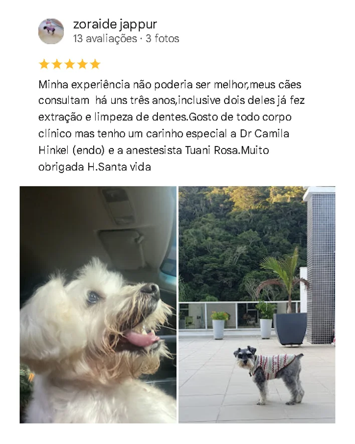 Avaliação de cliente no Google sobre o Santa Vida