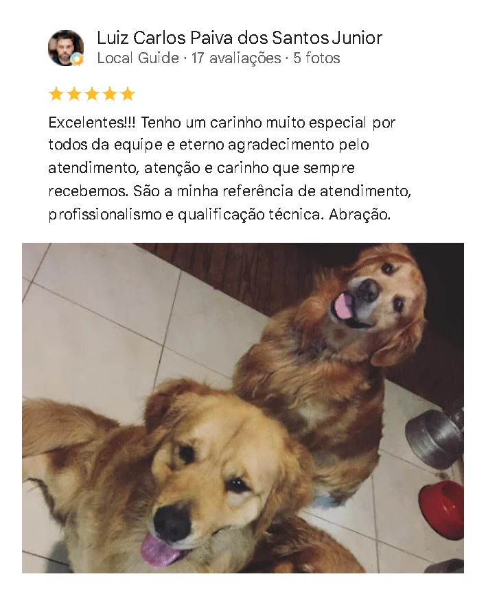 Avaliação de cliente no Google sobre o Santa Vida
