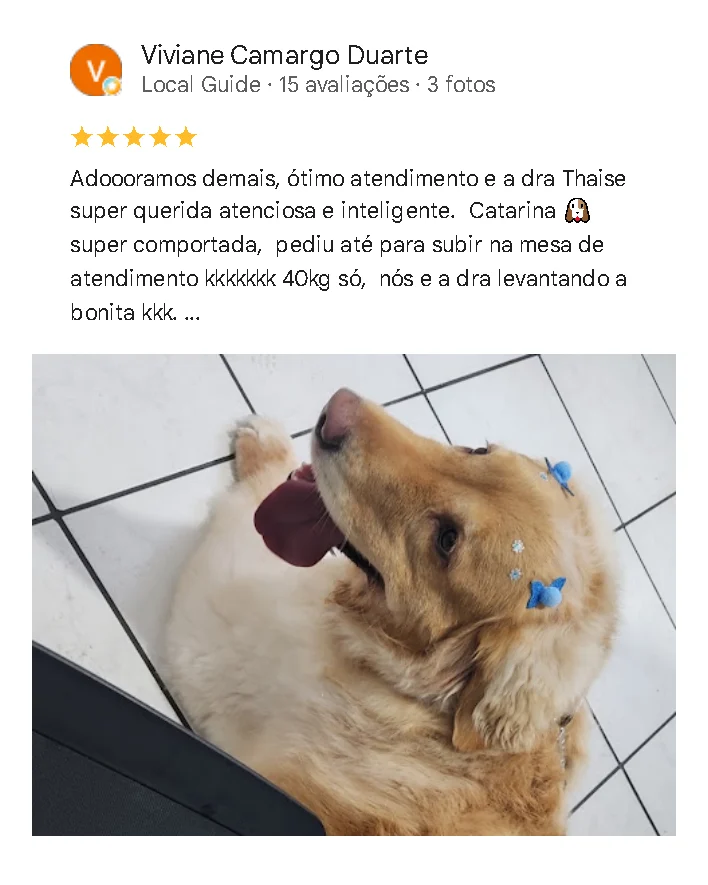 Avaliação de cliente no Google sobre o Santa Vida
