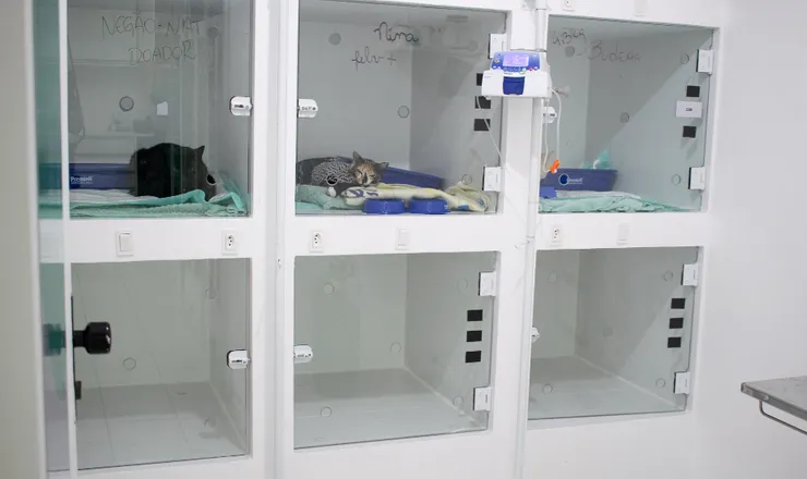 UTI do Santa Vida Agronômica com pacientes internados