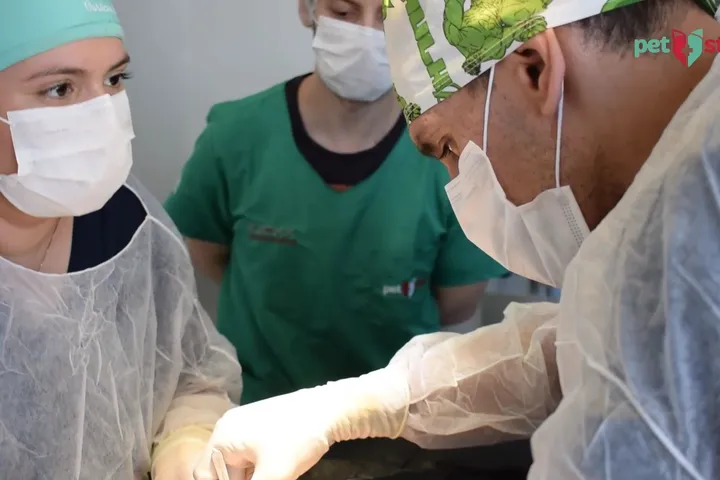 Equipe do Santa Vida Agronômica em uma cirurgia